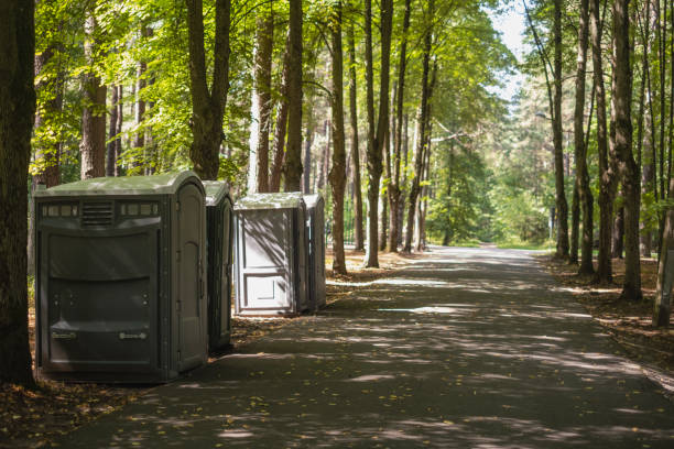 Best Affordable portable toilet rental  in Narrows, VA
